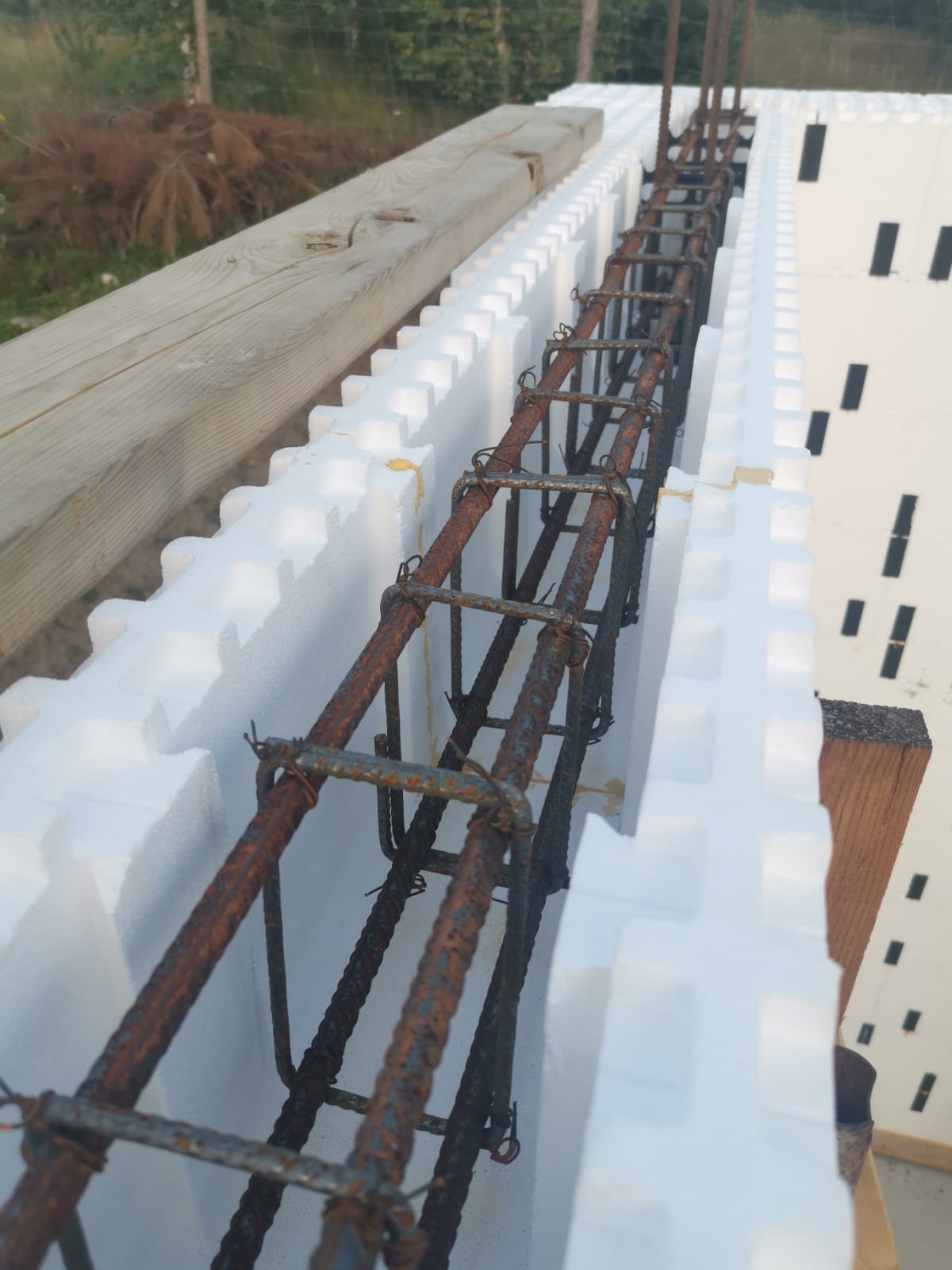 Dom jednorodzinny w Kameli 